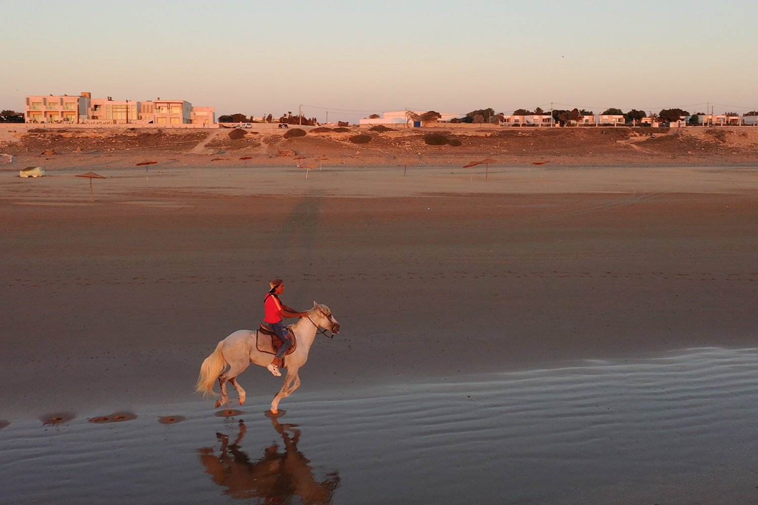 SidiKaouki_Essaouira_Expériences_Activités_Cheval