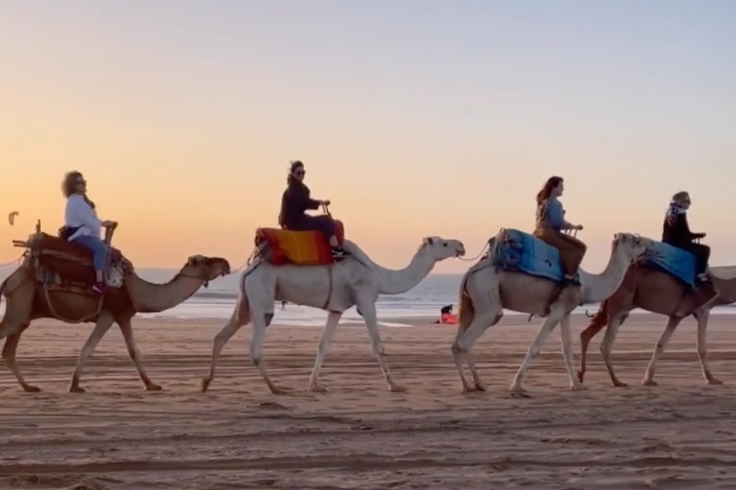 SidiKaouki_Essaouira_Expériences_Activités_Dromadaire_coucherdesoleil (1)